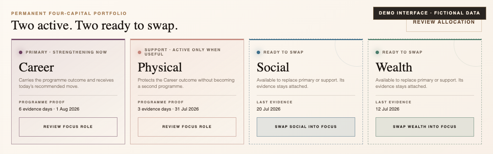 KemiKing Capital portfolio showing Physical, Social, Career and Wealth Capital